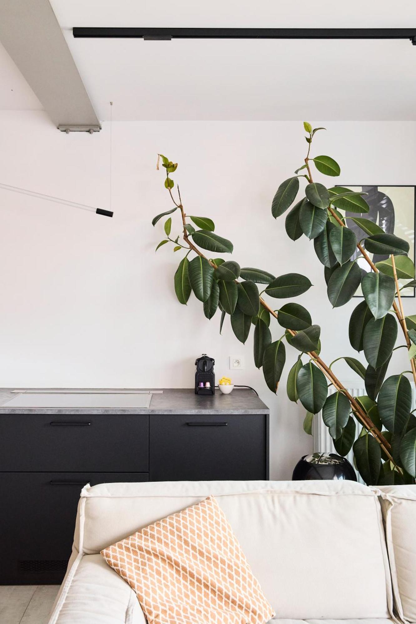 The Banker Antwerpen - Free Parking Apartment Luaran gambar